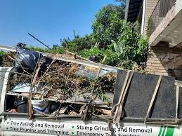 Best Construction Debris Removal  in Catlin, IL